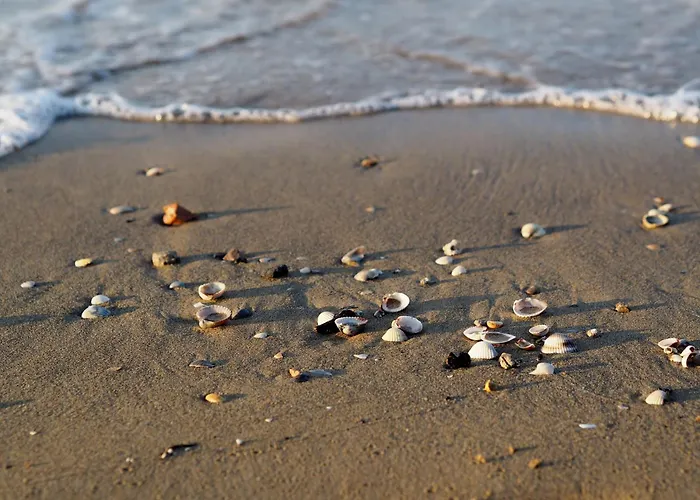 Well-equipped 1 Bedroom Flat For Up To 6 Guests 公寓