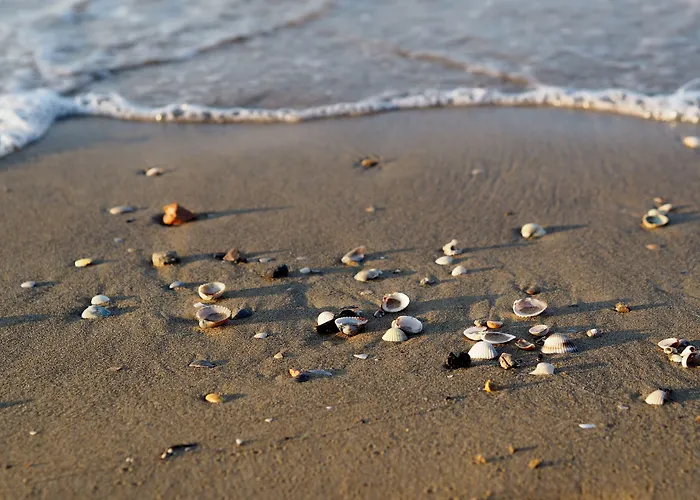 Apartmán Well-equipped 1 Bedroom Flat For Up To 6 Guests Bibione